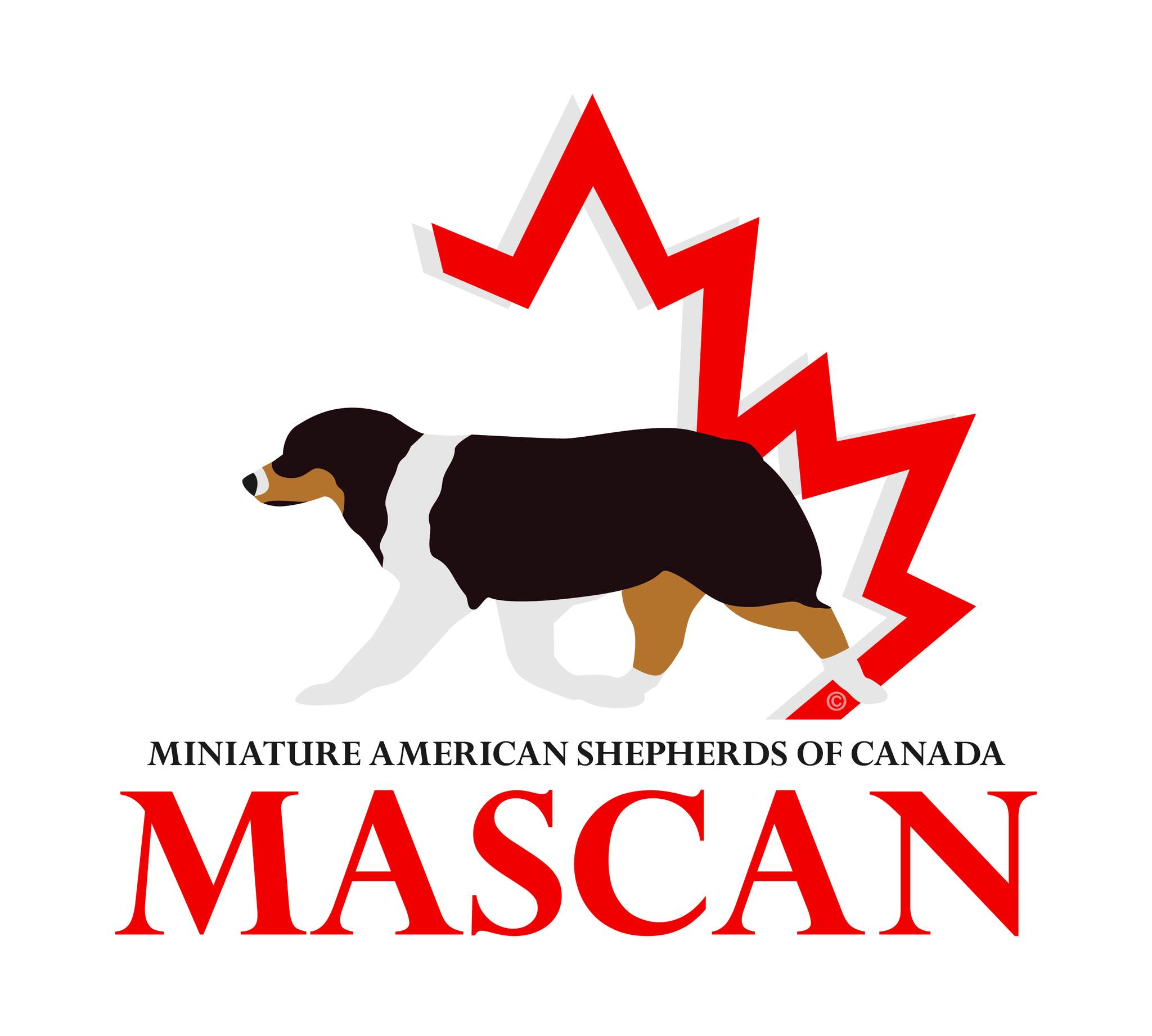 MASCAN logo